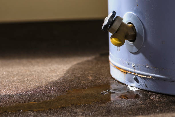 Best 24/7 water damage repair  in Okauchee Lake, WI