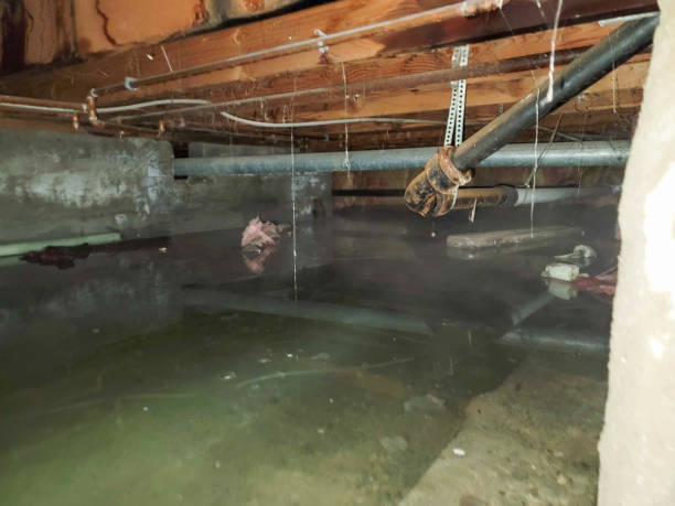 Best Professional water damage repair  in Okauchee Lake, WI