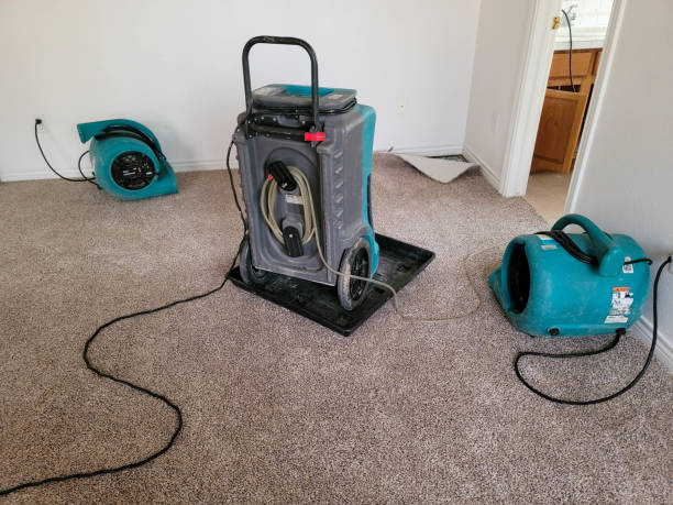 Best Water damage cleanup near me  in Okauchee Lake, WI