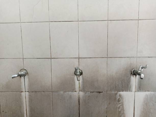 Best Sewage cleanup and water damage restoration  in Okauchee Lake, WI