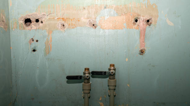 Best Commercial water damage restoration  in Okauchee Lake, WI