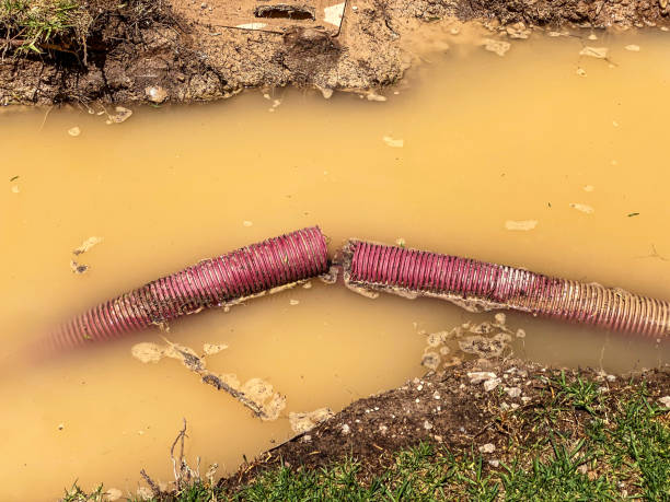 Best Basement water damage restoration  in Okauchee Lake, WI