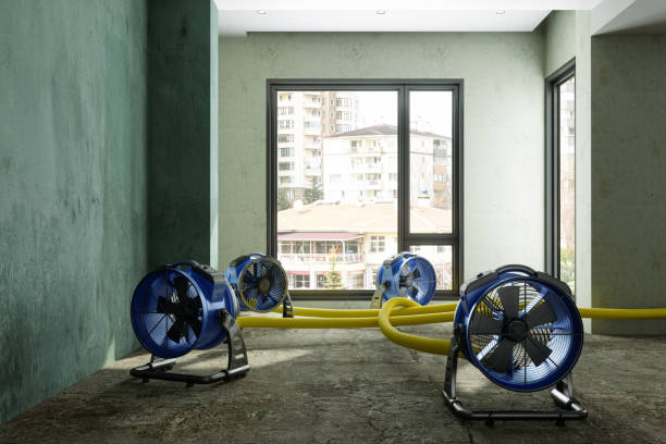 Best Carpet water damage restoration  in Okauchee Lake, WI